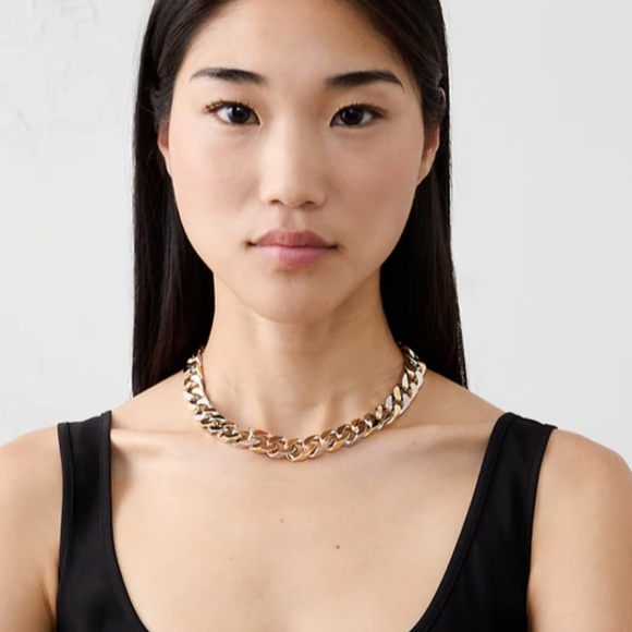 Banana Republic Mixed Metal Curb Chain Toggle Necklace - Picture 2 of 5